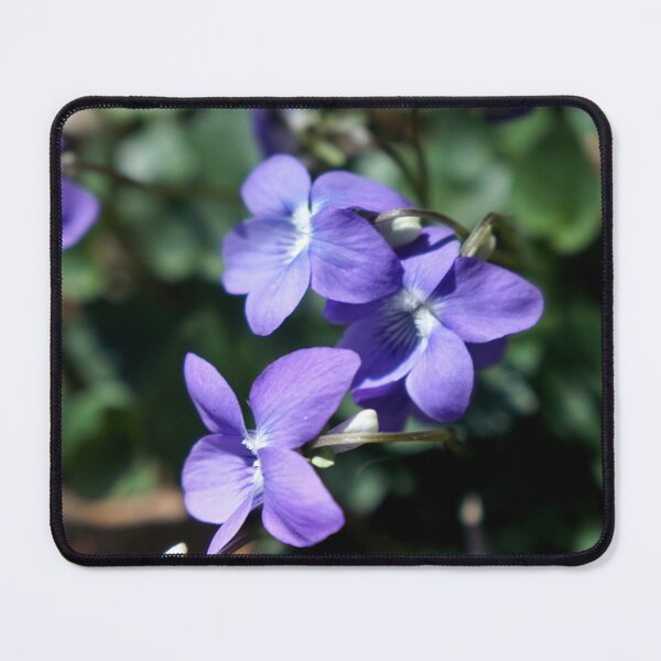 Item preview, Wildflowers Switzerland designed and sold by nikawanders.