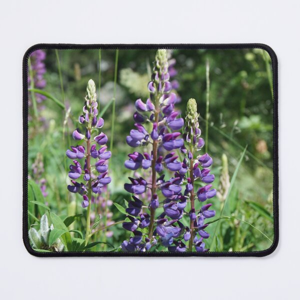 Item preview, Lupins Switzerland designed and sold by nikawanders.