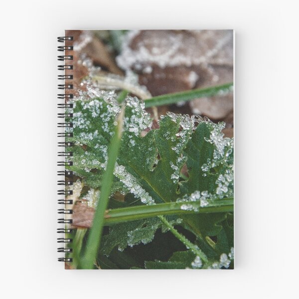 Item preview, Frosted Winter Leaf Macro designed and sold by ShotsbyDesiree.