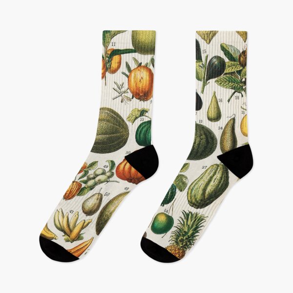 Item preview, Antique botanical illustration of various fruits and exotic plants designed and sold by Mauswohn.