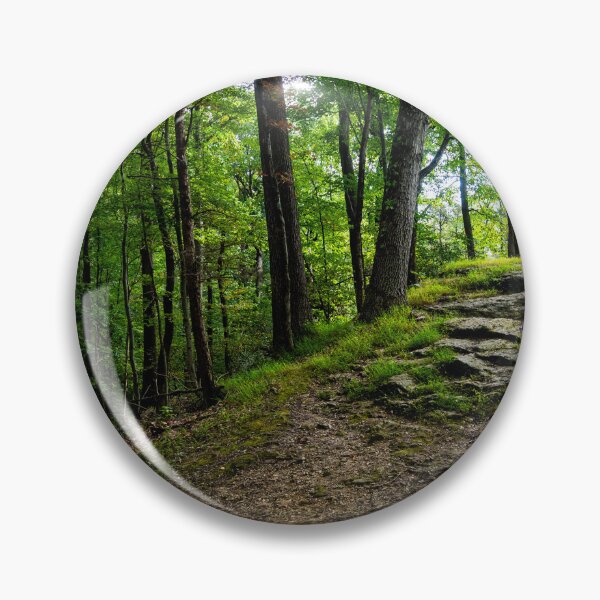 Artikelvorschau, Sunlit Forest Path – Nature Photography Print entworfen und verkauft von Photo-By-Nate.