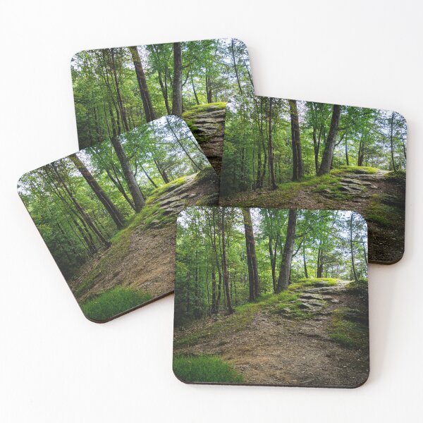Item preview, Sunlit Forest Path – Nature Photography Print designed and sold by Photo-By-Nate.