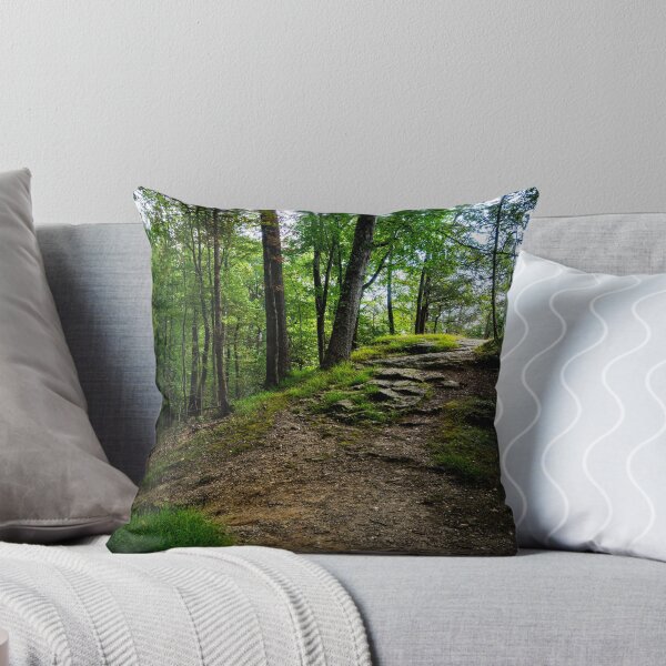 Item preview, Sunlit Forest Path – Nature Photography Print designed and sold by Photo-By-Nate.