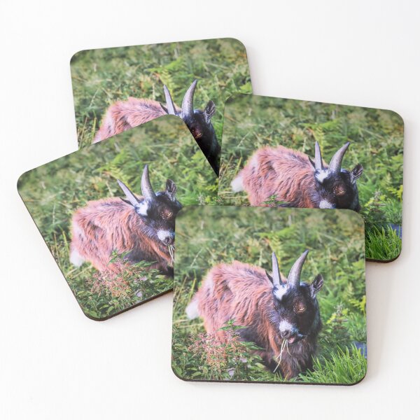 Item preview, Feral Goat designed and sold by JEZ22.