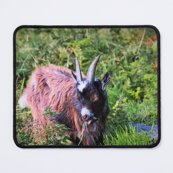 Item preview, Feral Goat designed and sold by JEZ22.