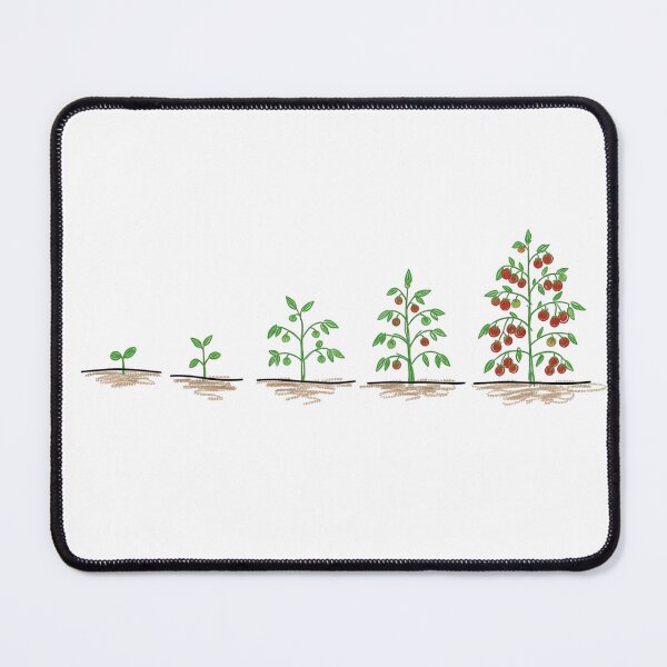 Item preview, Tomato Plant Growth Stages designed and sold by Pahjongg.