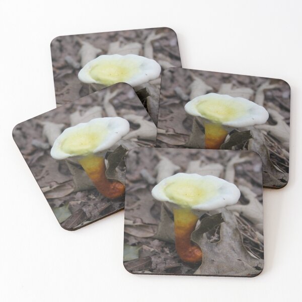 Item preview, Golden Reishi Mushroom - Sunset Forest Fungi designed and sold by Blossom-Breeze.