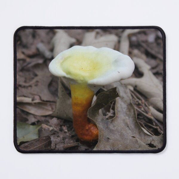Item preview, Golden Reishi Mushroom - Sunset Forest Fungi designed and sold by Blossom-Breeze.