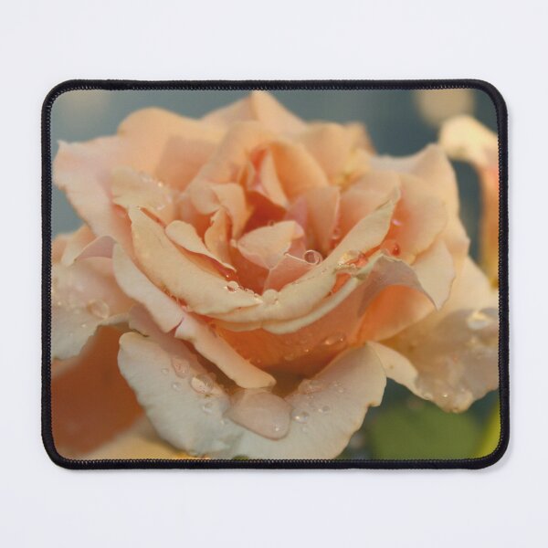 Item preview, Golden Rose with Morning Dew designed and sold by AKI | Art Kode of Imagination.