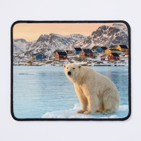 Item preview, Polar Bear Sitting On an Ice Floe In a Greenland Bay designed and sold by Maria Dryfhout.
