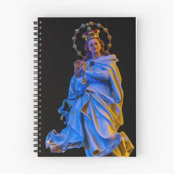 Item preview, Religious Statue Portrait With Golden Crown Star Halo White Robe Blue Ribbon Against Dark Night Sky designed and sold by Nmallia.