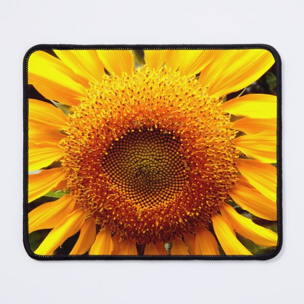 Item preview, Mammoth Yellow Sunflower Photo  designed and sold by hollycooper.