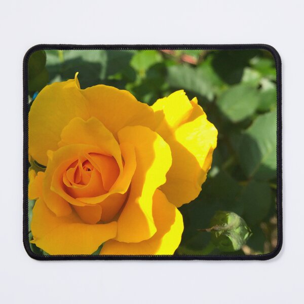 Item preview, Romantic country classic Yellow rose designed and sold by hollycooper.