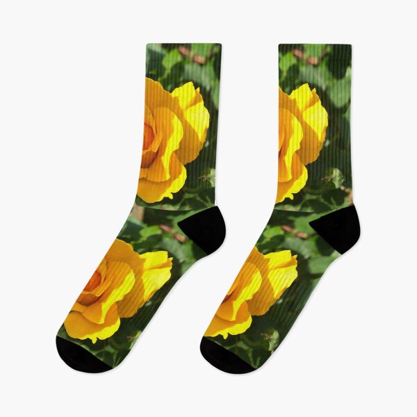 Item preview, Romantic country classic Yellow rose designed and sold by hollycooper.