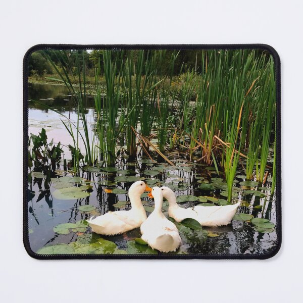 Item preview, Elegant White ducks water scene lake view designed and sold by hollycooper.