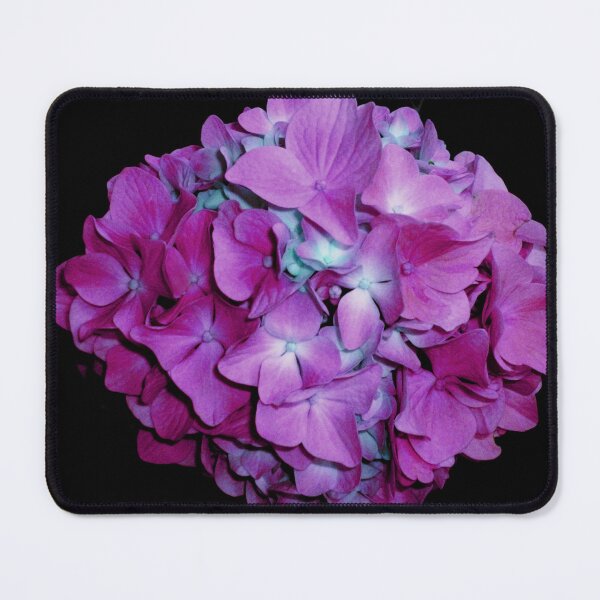 Item preview, Magenta purple teal hydrangea, romantic fuchsia, blue floral photo designed and sold by hollycooper.