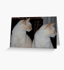 We Are Siamese If You Please Greeting Card