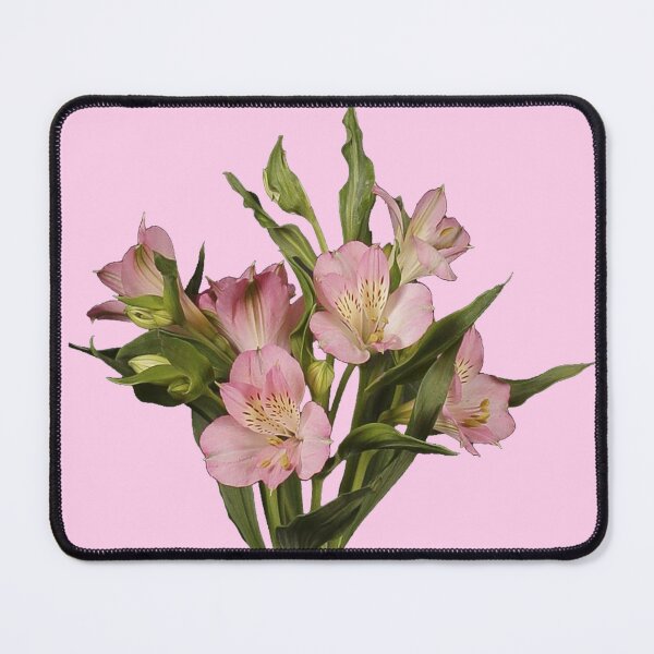 Item preview, pink alstromeria/ peruvian lily on stem flower sticker designed and sold by inainart.