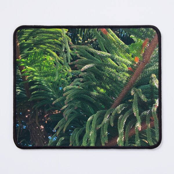 Item preview,  Pine trees in the morning light | rustic cabin decor  designed and sold by hollycooper.