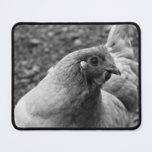 Item preview, Lavender Orpington in black and white  designed and sold by jennagoodwin04.