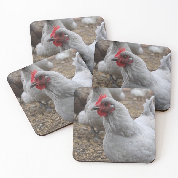 Item preview, Lavender Orpington designed and sold by jennagoodwin04.
