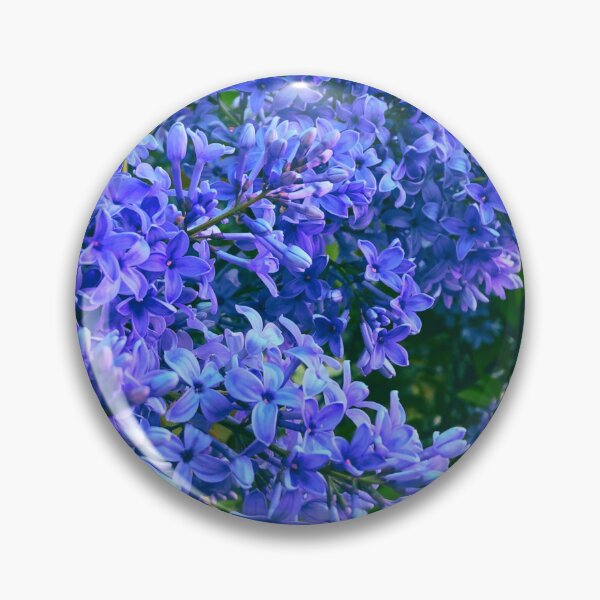 Item preview, Periwinkle blue Lilacs | very peri periwinkle lilacs designed and sold by hollycooper.