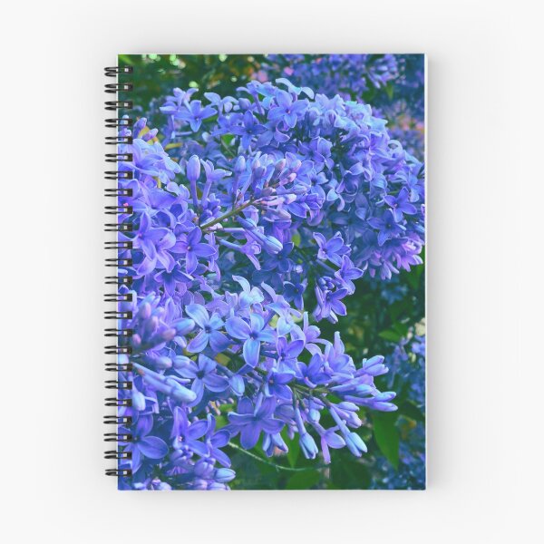 Item preview, Periwinkle blue Lilacs | very peri periwinkle lilacs designed and sold by hollycooper.