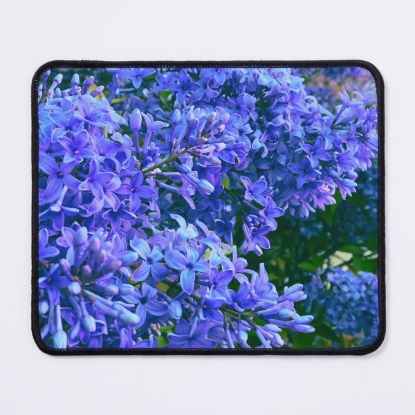 Item preview, Periwinkle blue Lilacs | very peri periwinkle lilacs designed and sold by hollycooper.