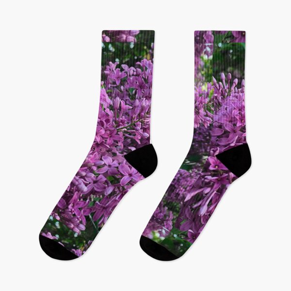 Item preview, Purple pink lilacs | classic purple flowering shrub designed and sold by hollycooper.