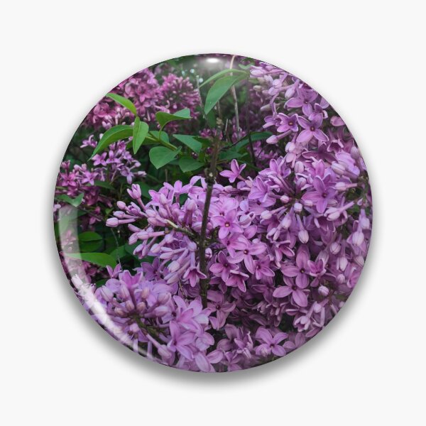 Item preview, Purple lilacs - romantic purple Spring flowering scrub designed and sold by hollycooper.