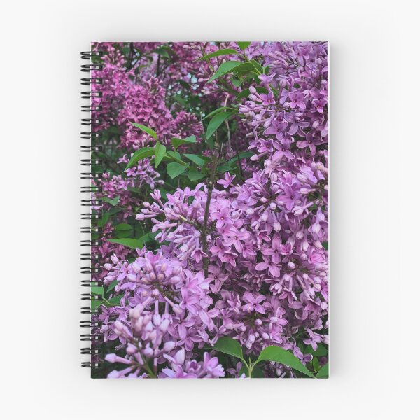 Item preview, Purple lilacs - romantic purple Spring flowering scrub designed and sold by hollycooper.