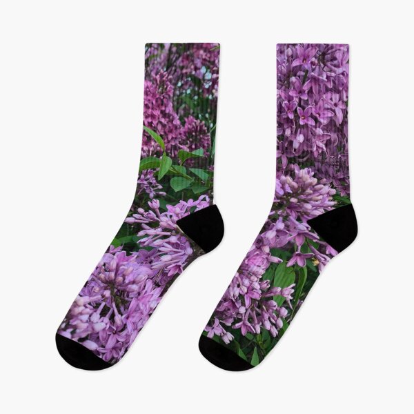 Item preview, Purple lilacs - romantic purple Spring flowering scrub designed and sold by hollycooper.