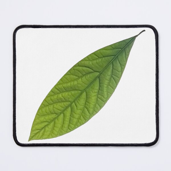 Item preview, Avocado Leaf designed and sold by Amanda1775.