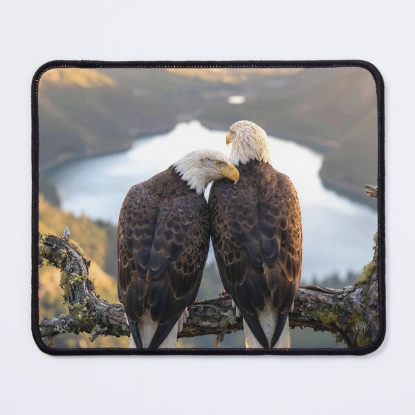 Item preview, Pair of Bald Eagle Overlooking a Mountain Lake designed and sold by Maria Dryfhout.