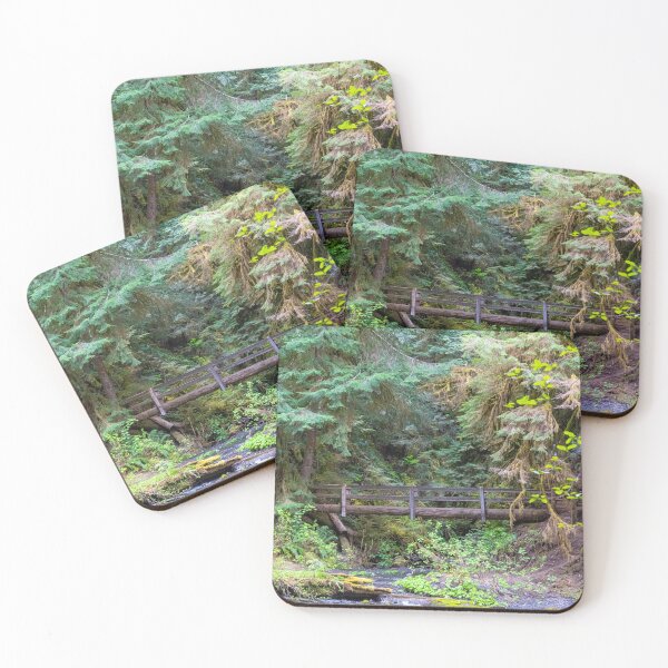 Item preview, A Bridge Across Olympic National Park designed and sold by TinyDinoDesigns.