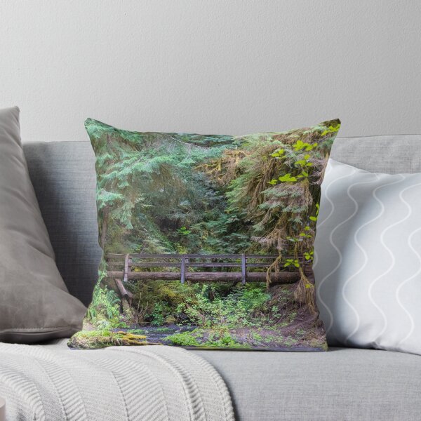 Item preview, A Bridge Across Olympic National Park designed and sold by TinyDinoDesigns.