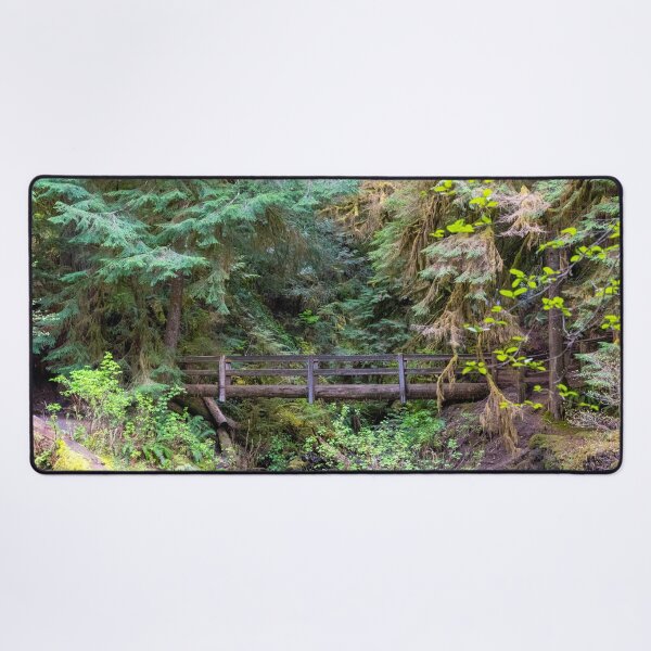 Item preview, A Bridge Across Olympic National Park designed and sold by TinyDinoDesigns.