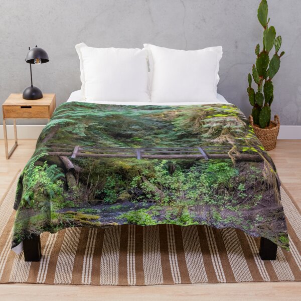 Item preview, A Bridge Across Olympic National Park designed and sold by TinyDinoDesigns.