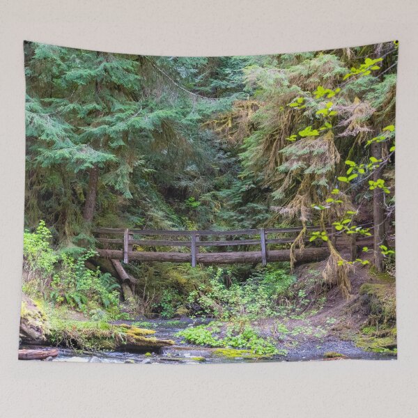 Item preview, A Bridge Across Olympic National Park designed and sold by TinyDinoDesigns.