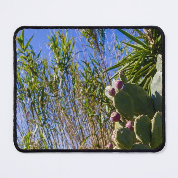 Item preview, Prickly Pear Cactus With Purple Fruit Under Clear Blue Sky Among Tall Grasses And Palm Leaves designed and sold by Nmallia.