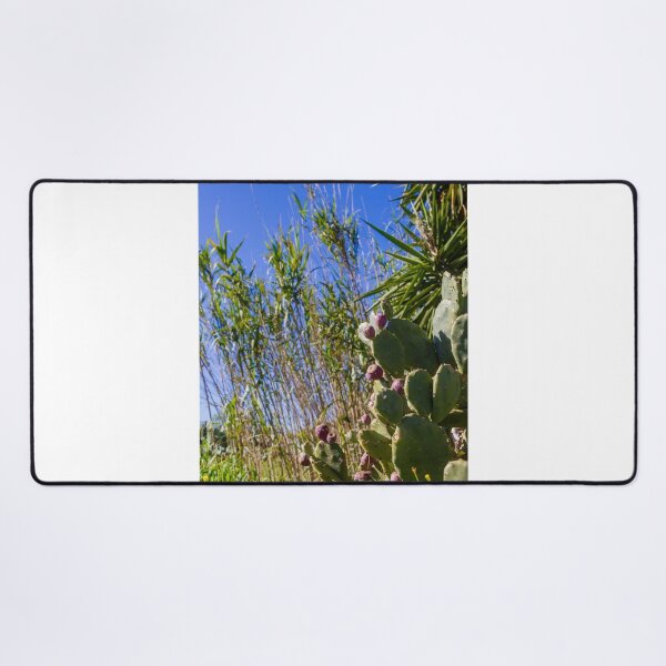 Item preview, Prickly Pear Cactus With Purple Fruit Under Clear Blue Sky Among Tall Grasses And Palm Leaves designed and sold by Nmallia.