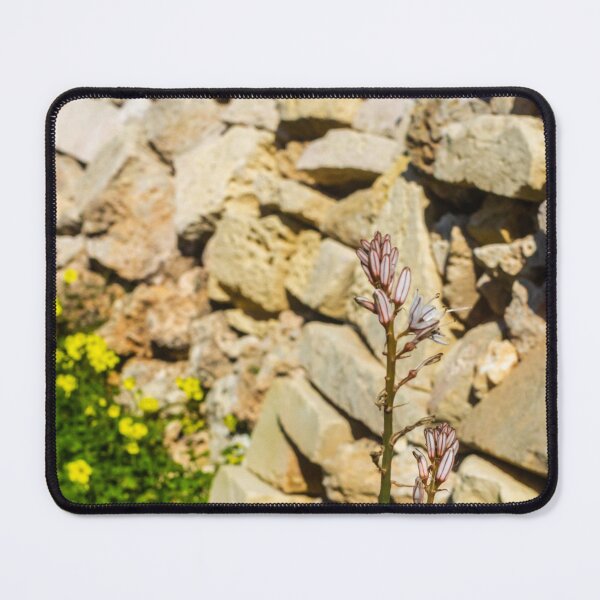 Item preview, Wildflower Blooming Against A Rustic Stone Wall With Yellow Clover And Blue Sky designed and sold by Nmallia.