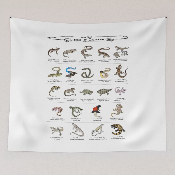 Item preview, Know Your Lizards of California designed and sold by KetrinaDrawsALot.