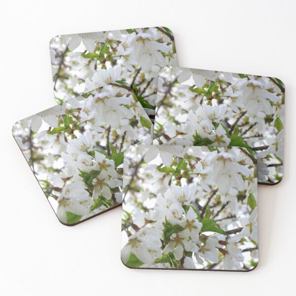 Item preview, White flowering Cherry tree designed and sold by hollycooper.