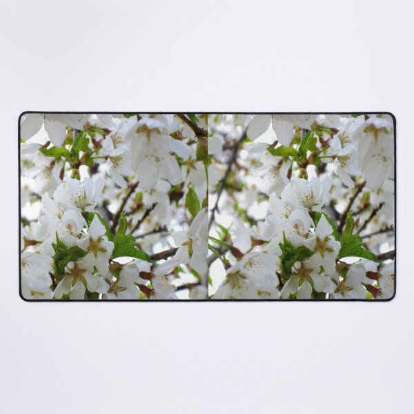 Item preview, White flowering Cherry tree designed and sold by hollycooper.