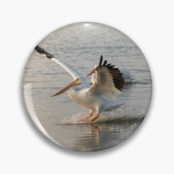 Item preview, Pelican Skimming Over Water designed and sold by Debra Martz.