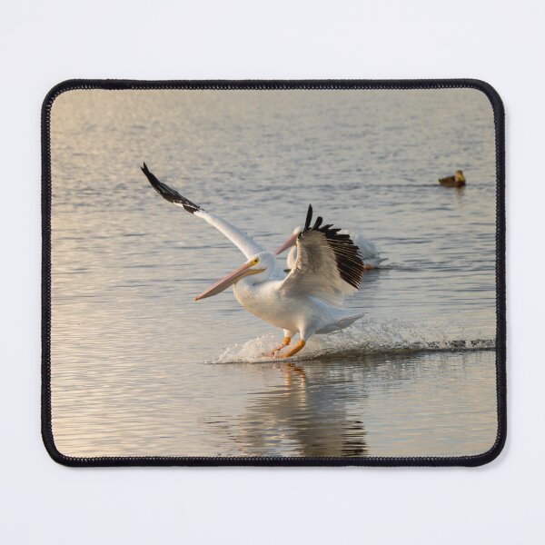 Item preview, Pelican Skimming Over Water designed and sold by Debra Martz.
