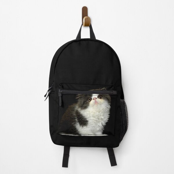 Item preview, Cute little Fluffy black and white kitten designed and sold by hollycooper.