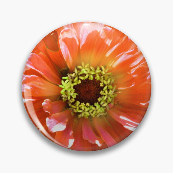 Item preview, Retro Orange floral flower Daisy Pretty tangerine floral Photo, Orange daisy, orange zinnia, orange cosmo,  vibrant floral garden  designed and sold by hollycooper.
