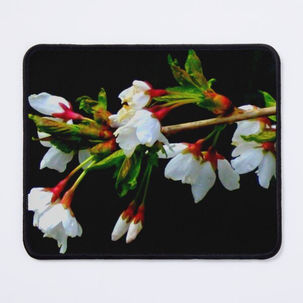 Item preview,  White flowering cherry tree photo | romantic white blossoms  designed and sold by hollycooper.
